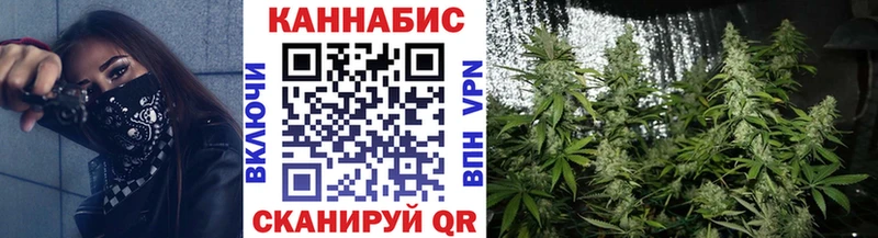 Бошки марихуана Amnesia  Купить  Красный Кут 